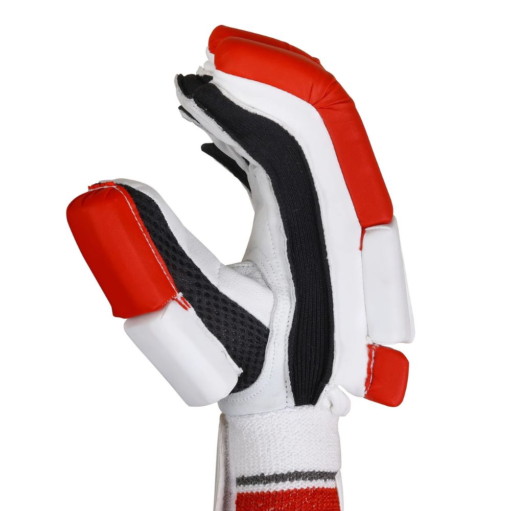 Cricket Batting Gloves
