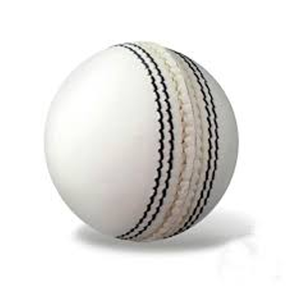 Cricket Leather Balls