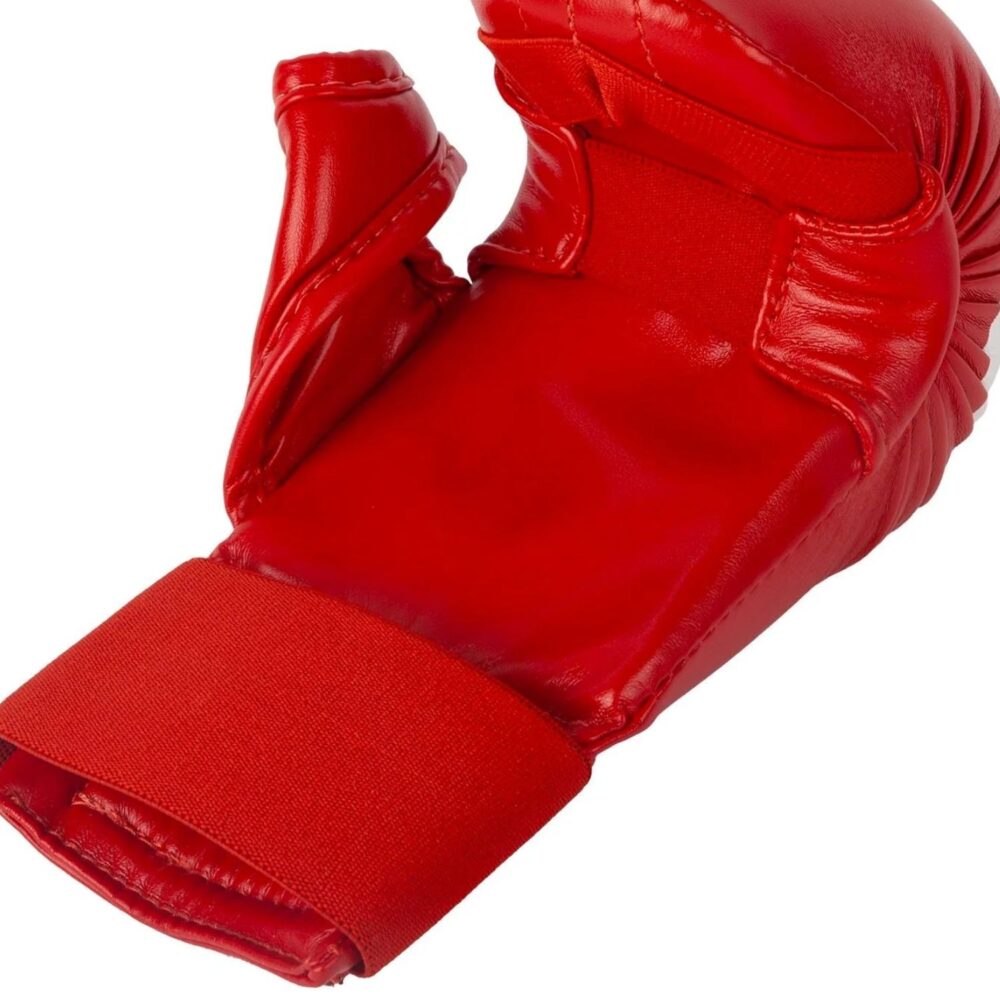 Sparring Mitts