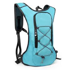 Backpacks Bags