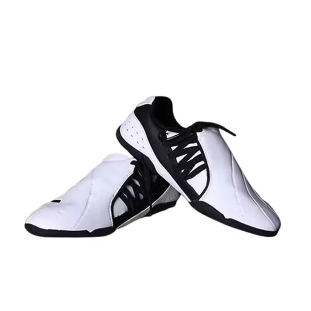 Dojo Shoes
