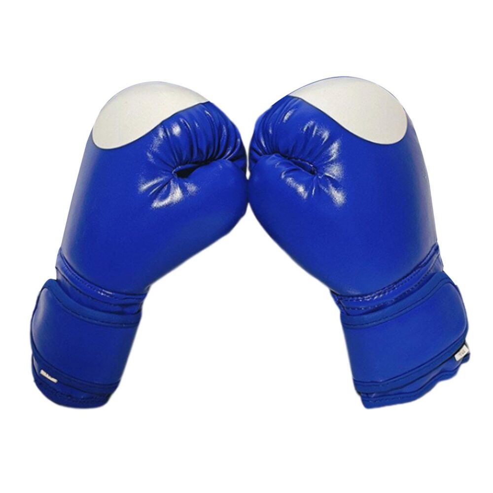 Sparring Mitts